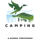 www.campingsantatecla.es